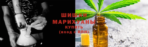 шишки Горняк